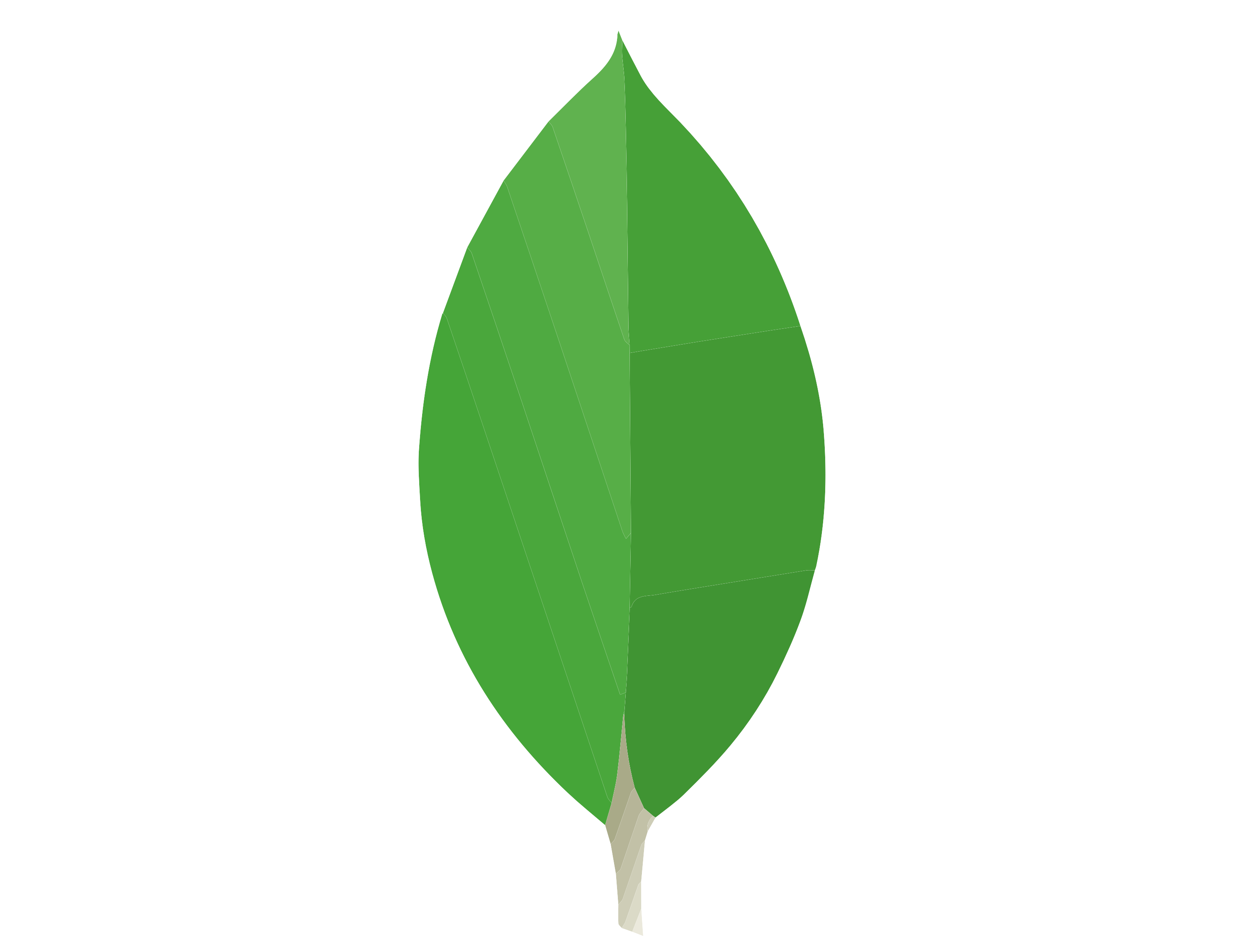 mongodb